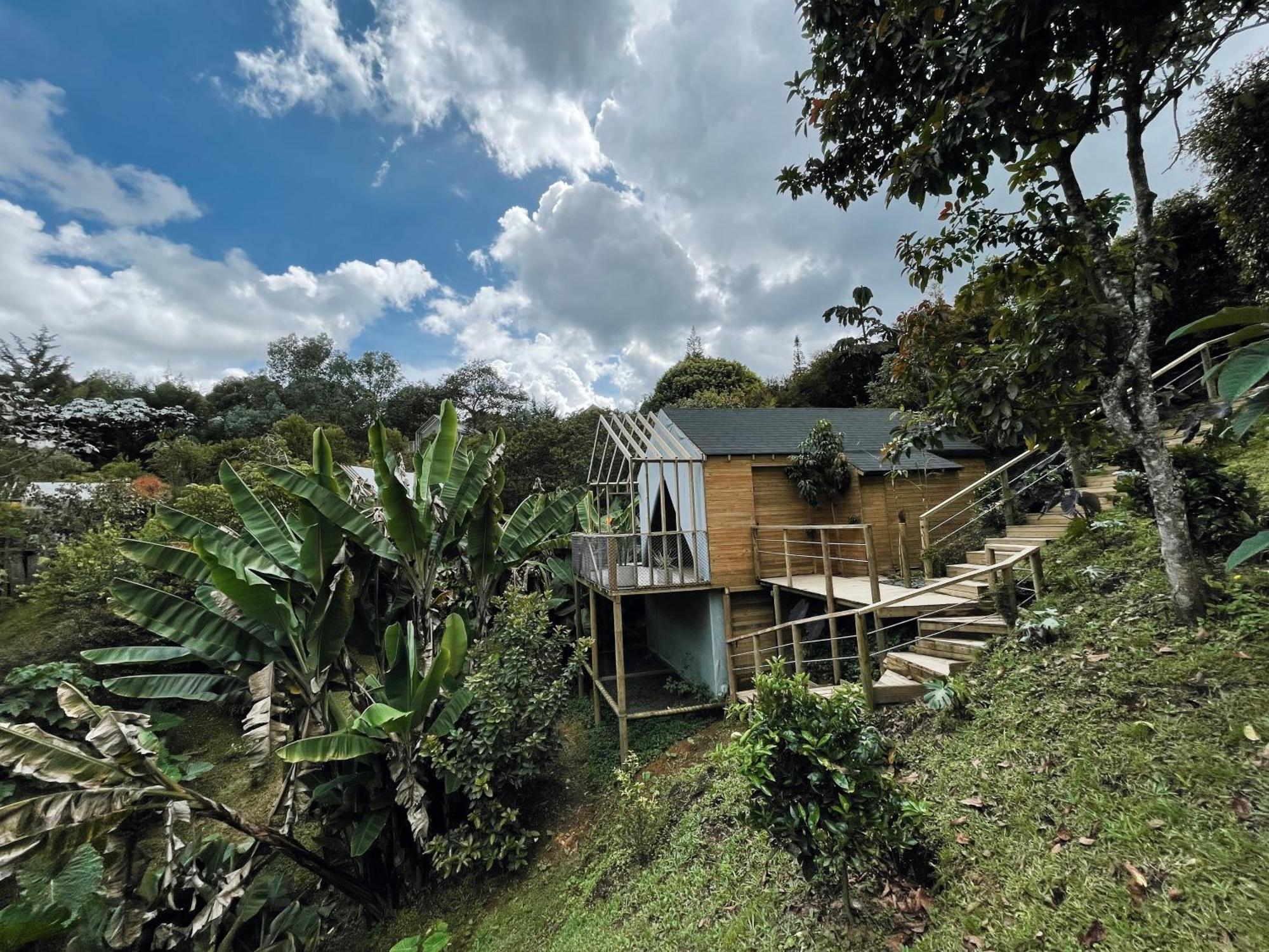 Hotel Teva Glamping & Retreat Rionegro Pokój zdjęcie