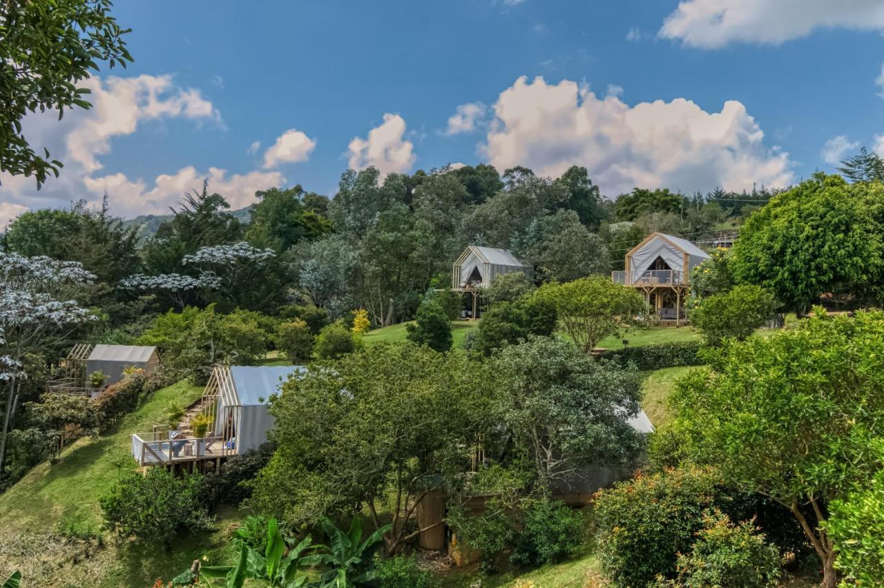 Hotel Teva Glamping & Retreat Rionegro Zewnętrze zdjęcie